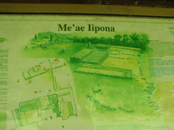 View of the site layout.