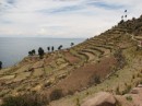 View of the terraces on the hillside.
