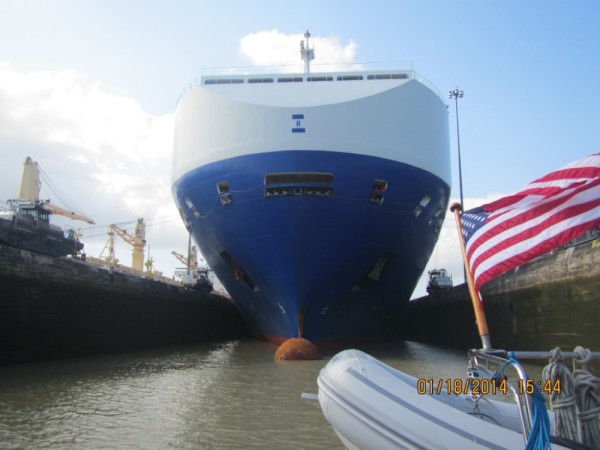 Glovis the 600-foot long, 104-foot wide car ship.