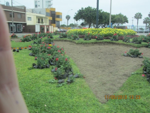 Park in Miraflores.