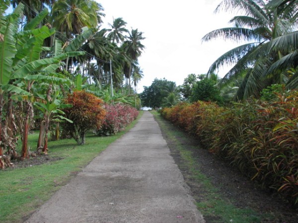 Road through the village, looks more like a park.