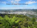 View of Whangarei with Whangarei Heads in background.