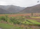 Countryside coming into Cusco with a field of red flowers.