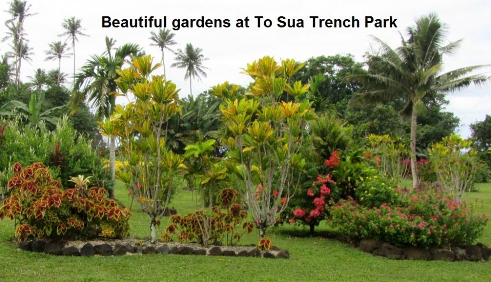 Beautiful gardens at To Sua Park