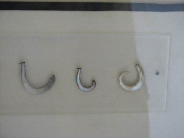 Fish hooks carved from shells. 