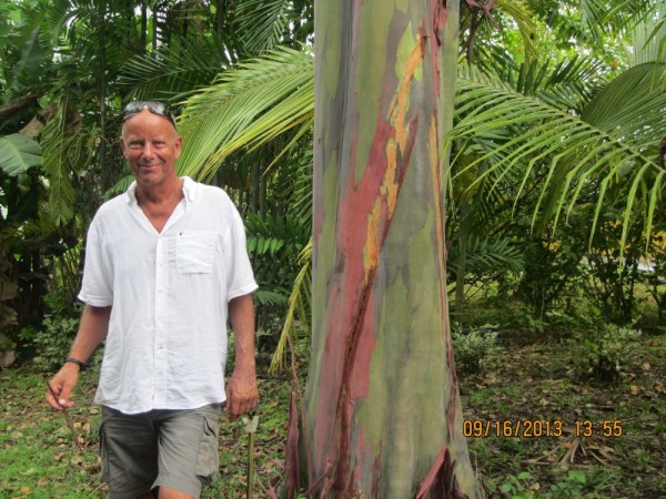 Rainbow Eucalyptus and our friend Hans.