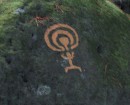 Petroglyph - looks like a parachute.