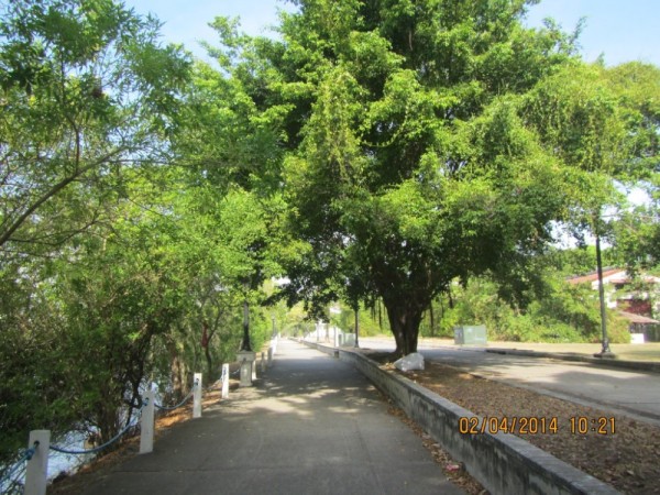 The 3-mile walkway to the causeway.