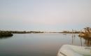 Tied off at dock in New Smyrna - look back at ICW and all the birds in trees to left