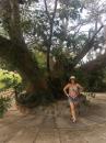 Jessica and the Banyon Tree: At Grand Bay Resort, Isla Navidad 