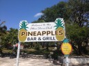 Pineapples Green Turtle Cay