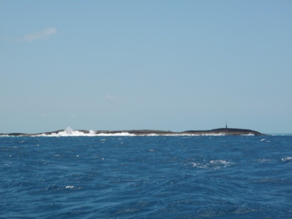 Whale Passage