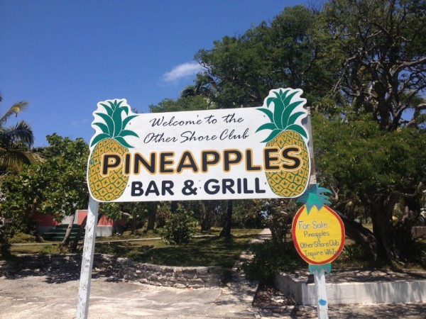 Pineapples Green Turtle Cay