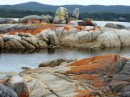 Orange coloured granite at Binalong Bay. The colour is lichen which grows above the high tide line.