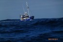 This crayfishing boat on the south coast was dropping craypots over a wide area, including in our wake