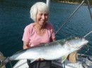 Ros was excited to land a 20lb Yellow Fin Kingfish as we motored between anchorages at Great Barrier Island.