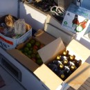 Provisions for a few months away.  Fjiordland is quite remote so no provisions available -  loading cartons of green tomatoes, great local veges, good NZ wines and beers for a hard day.