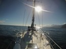 Motoring on a calm sea, down the SW coast from Milford to George Sound (we were lucky!)