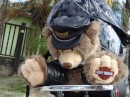 Talk about Easy Rider! (Harley Bear, Hurricane Pattys, St. Augustine FL)