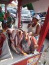 Fresh fish attract shoppers to the open-air market. (Boca Chica, Dominican Republic)