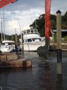 There must be a lot of muck down there. (Rivers Edge Marina, St. Augustine FL) 