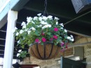 A lovely basket of flowers welcomes us on the porch. (O..C. Whites, St. Augustine FL) 