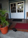 complete with feline greeter...