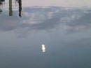 Moonlight on the water. (Rivers Edge Marina, St. Augustine FL)
