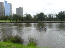 Rowers on the Yarra River.