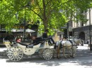 A horse-and-carriage hardly seems out of place in this Victorian city.