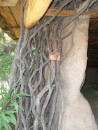 Detail of the entrance to the Aboriginal dwelling museum.
