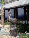 Imposter at the Salty Pelican, Fernandina Beach, Florida.