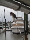 We like to troll for fish at sea. Here at the dock, we lured a different sort of creature.(St. Augustine FL)