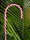 Hurricane Pattys gives a nod to the season with this giant candy cane.