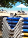 Cool Cat of the Caribbean.  (Sosua Beach, Dominican Republic)