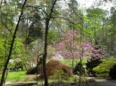 Spring is just beginning to take hold in the Duke Memorial Gardens.