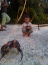 Coconut Crabs