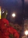 Full moon easter 2012