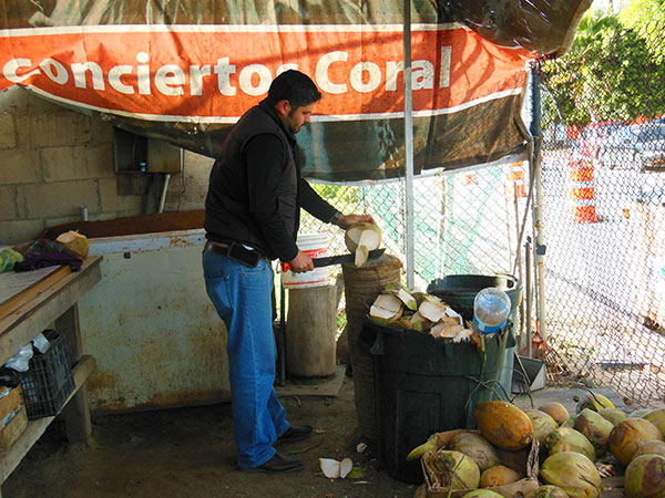 Ceasar the Coco-man sells about 100 drinking-coconuts each week.