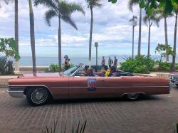 What could be better than an old car show complete with Pink Cadillac and palm trees? Stay tuned for our next blog post to find out! 