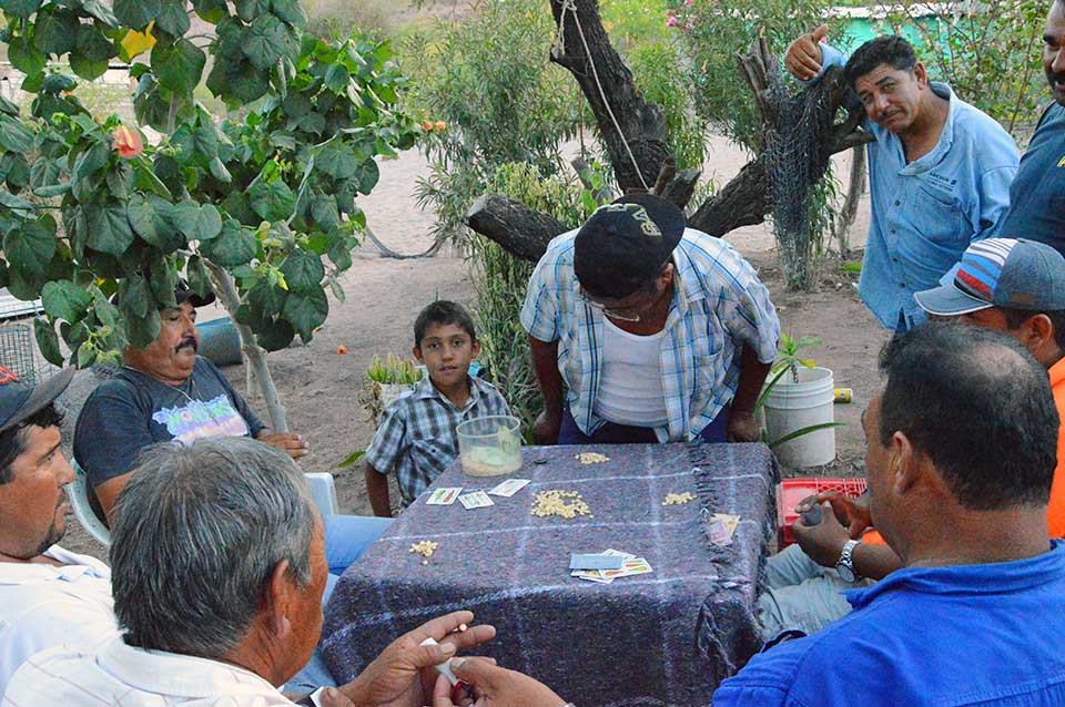Local poker game outside the tienda in the pueblo of Agua Verde. Notice they are using kernels of corn as poker chips and Mexican Loteria Cards (not quite sure how that works.) The stakes were high, the biggest bill we saw was $200 Pesos, or about $12 US.