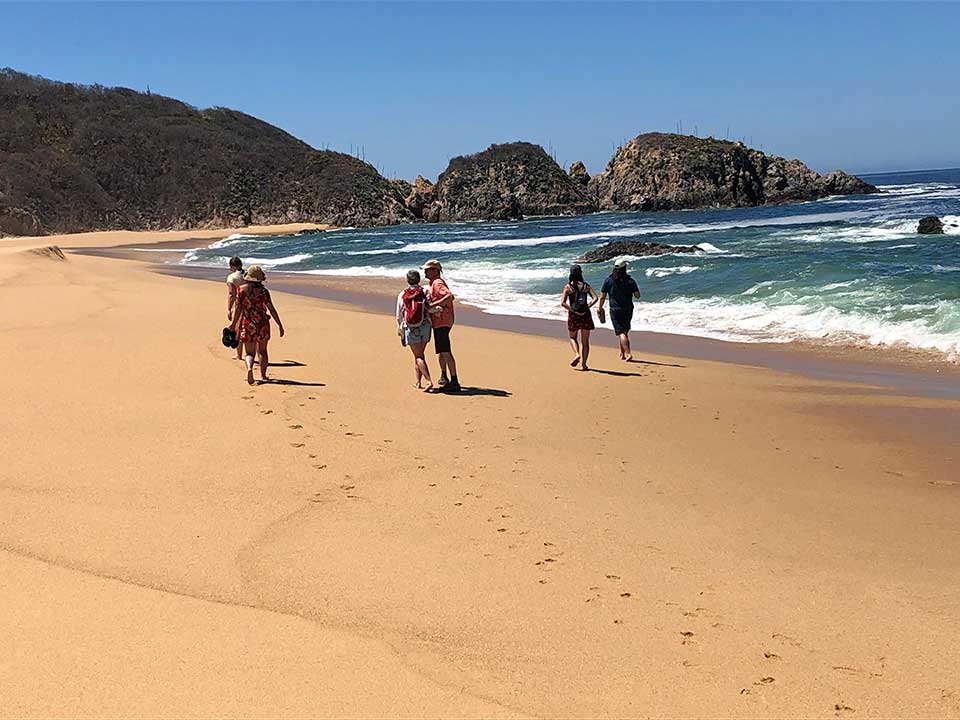 Giant beaches with big waves to play in at Playa Mayto.