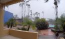 View from our hotel room where the rain was pouring down at almost 2" hour and the palm trees were blowing sideways...swimming pool (turquoise right background) was filling with palm fronds.