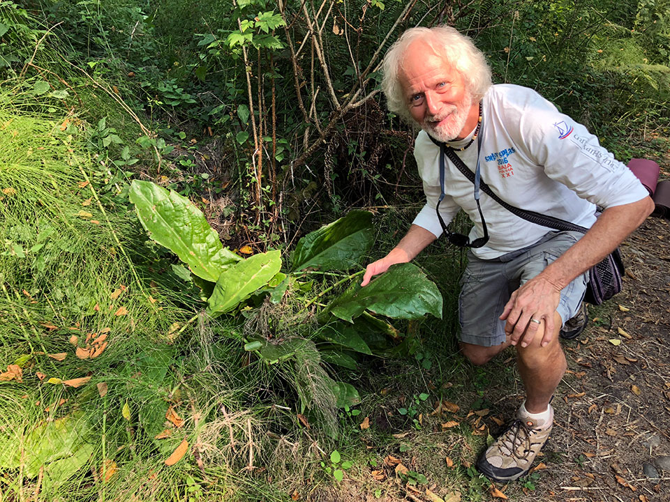 Kirk in heaven at the Earth Sanctuary on Whidbey Island, with his favorite wetland plant <em>Lysichiton americanus</em>, otherwise known as skunk cabbage. Even though Kirk hasn