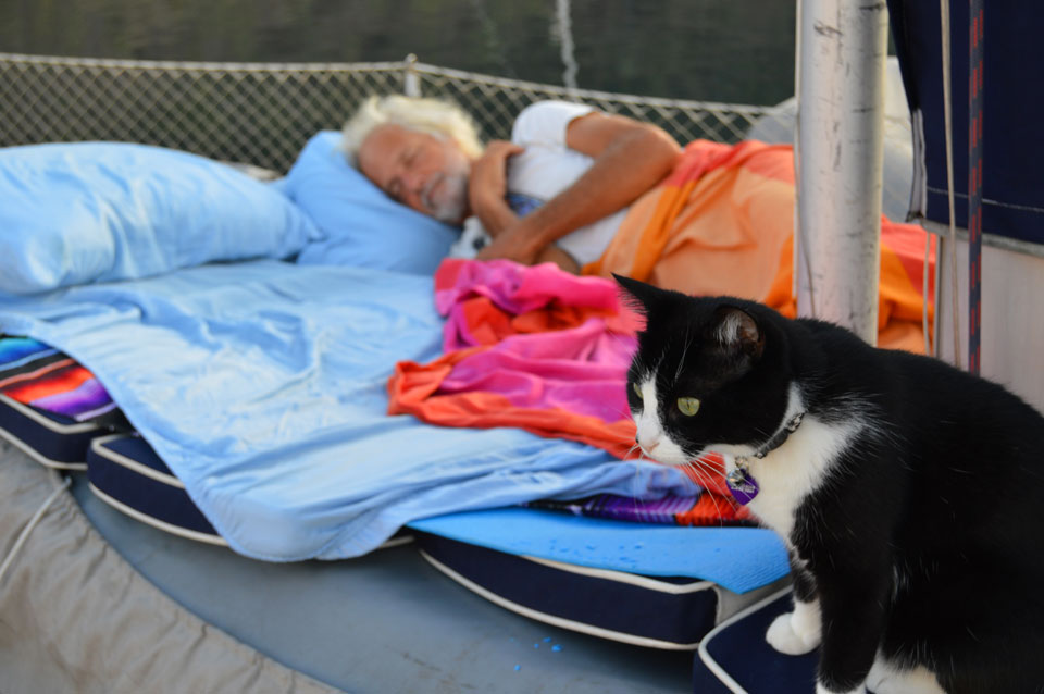 Did we mention it was HOT in Puerto Escondido? So hot that one night the boat was still about 99° at midnight, and we decided to bring cushions and bedding up to sleep on deck under the billions and billions of stars overhead. Tikka thought it was cool to camp out side!