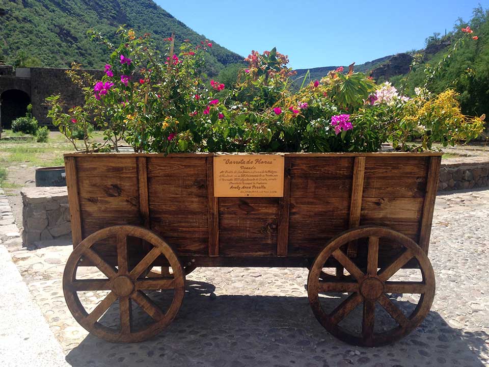 This cute flower cart in front of the mission boasts one of every type of native Baja flower blooming. 
