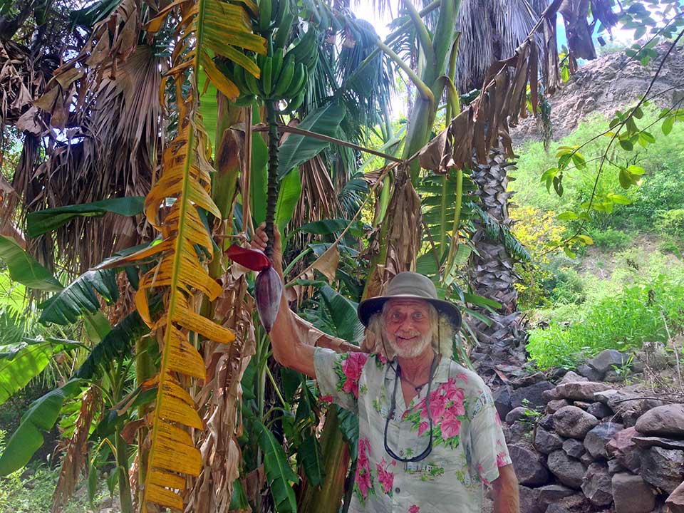 Kirk among the banana trees in the San Javier gardens. Besides bananas, the gardens grew lemons, limes, oranges, grapefruit, dates, olives, and grapes... and who knows what else for their daily sustenance. 