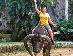 Kelly, the farm-gal, was all too happy to hang on for an "8-second" ride on Tomás, the Water Buffalo!