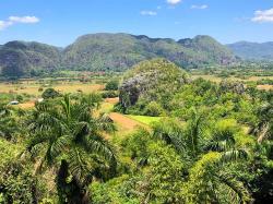 The majestic Valle Viñales with its magotes is a popular tourist destination in Cuba.