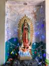 The Virgin of Guadalupe is the most common religious icon in Mexico. This shrine adorned with glitter and lights was inside a horse tack shop in the rural town of Mascota. 